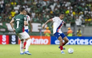 Palmeiras x Bahia: Tudo sobre o confronto decisivo pela 29ª rodada do Brasileirão - Imagem 1