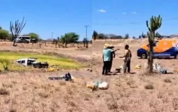 Van com nove ocupantes perde os freios e cai em lagoa na BA-120 - Imagem 1